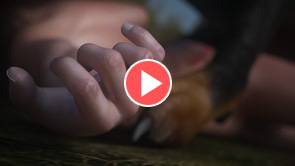 amelie and daddy the dog | full hd 1080p exclusive | amelie by silico3d